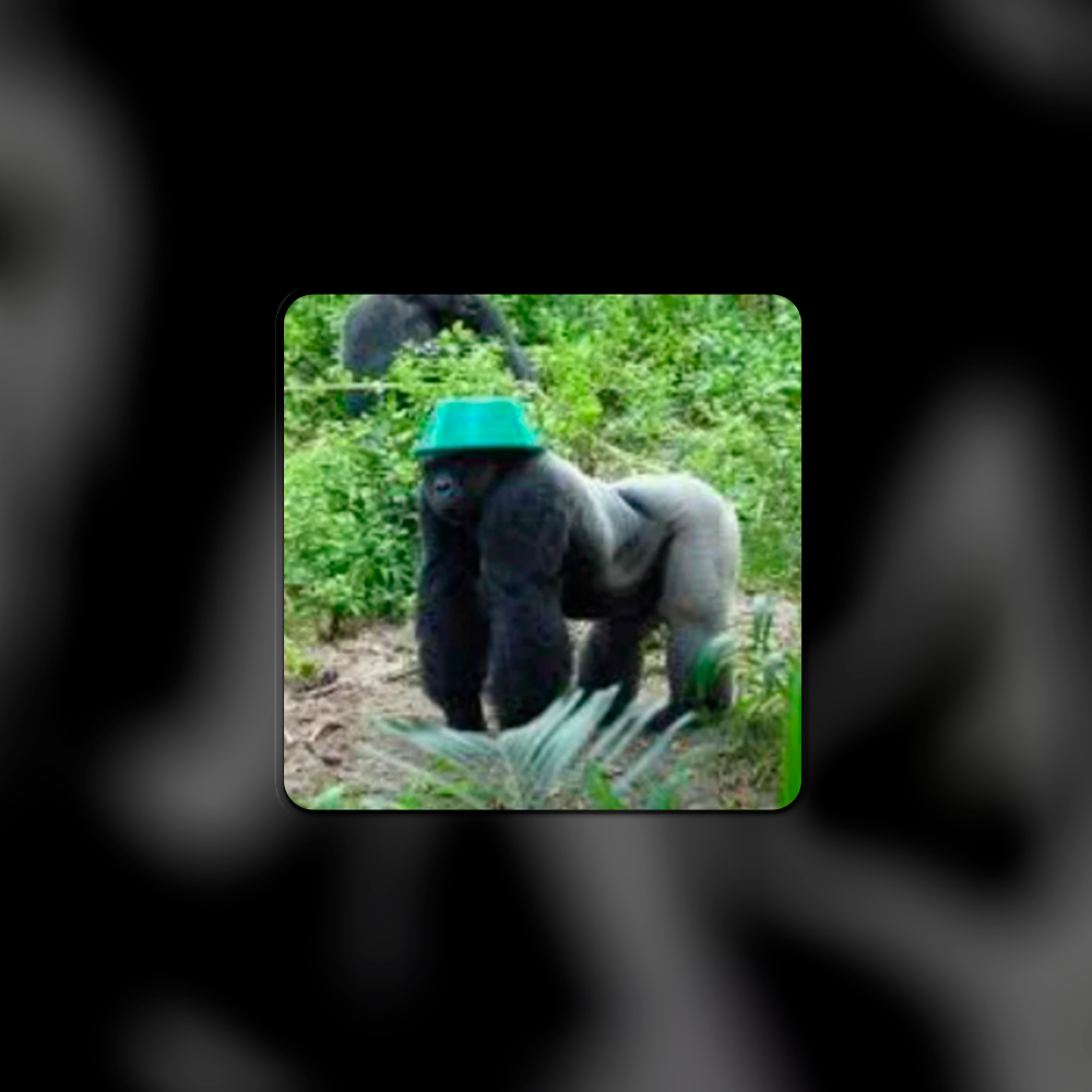 секс порно 18+ стикеры в Telegram