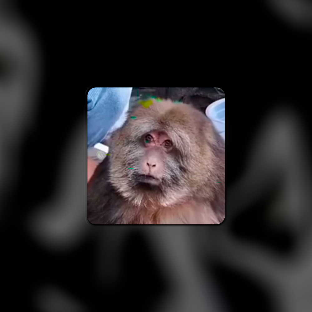 секс порно 18+ стикеры в Telegram